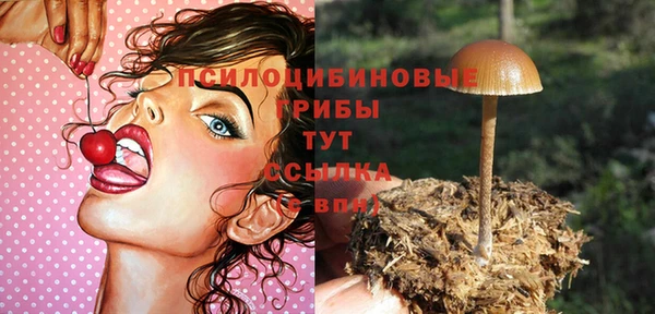 ECSTASY Остров