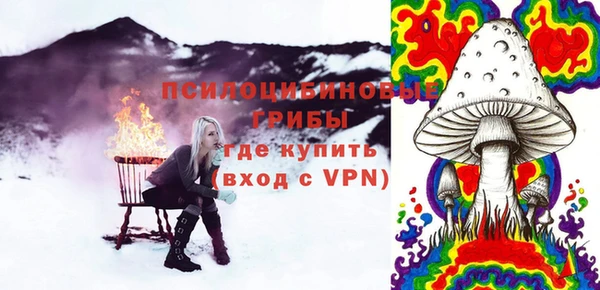 гашик Нязепетровск